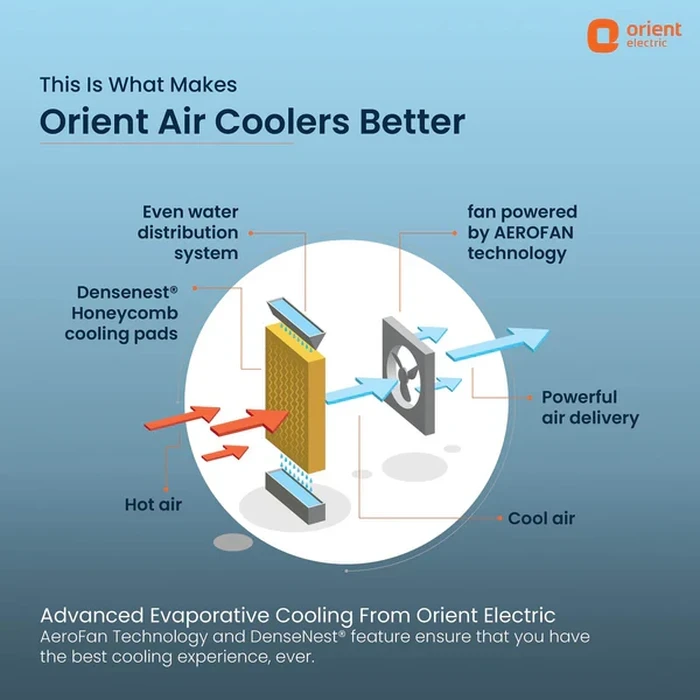 Orient Aerocool 40L Personal Air Cooler | 140W High-Speed 2-Pole Motor 12-Inch Fan | 2100 Cu.m./hr Air Delivery DenseNest Honeycomb Pads | CP4001H
