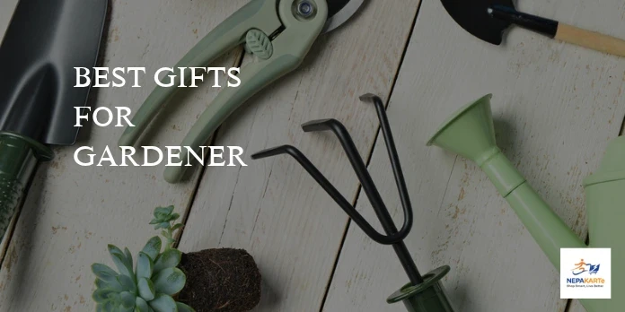 Best Gifts for Gardener: 7 Thoughtful Ideas They’ll Love