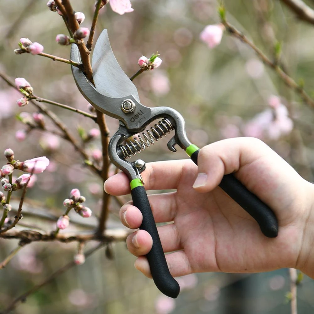 Deli 8" Professional Garden Pruning Shears | Heat-Treated 55# Carbon Steel Bypass Blade Pruner for Fruit Trees, Bonsai & Orchards | EDL2778