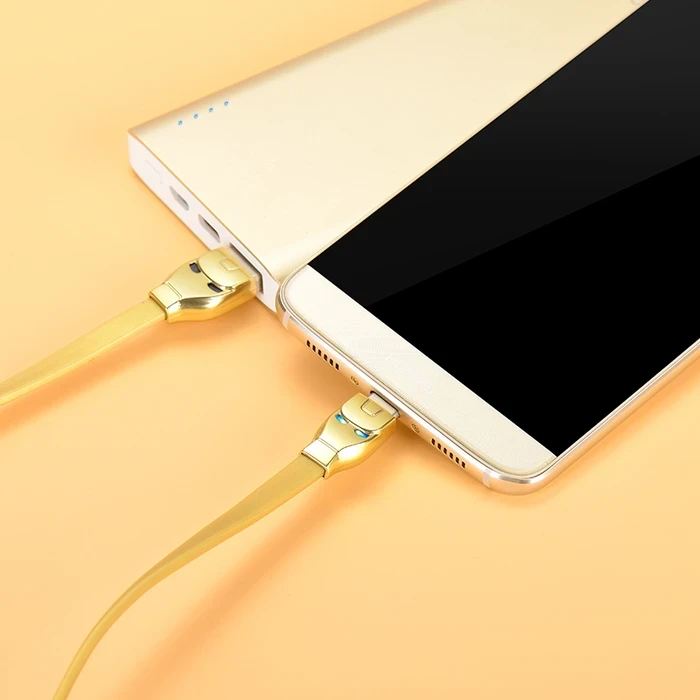 HOCO Steel Man Charging Cable | Type-C High-Fidelity Connectivity Logic | 2.4A Power Matrix | U14