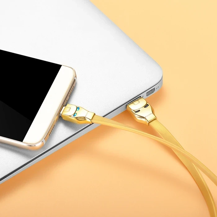 HOCO Steel Man Charging Cable | Type-C High-Fidelity Connectivity Logic | 2.4A Power Matrix | U14