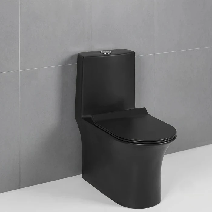 Toyo 21213 Black Glossy One Piece Closet 12" Rough-in | Rimless 6D Syphonic Single Piece WC | PP Soft Close Heavy Seat Cover & Superflow Dual Flush Toilet | 670x320x750mm