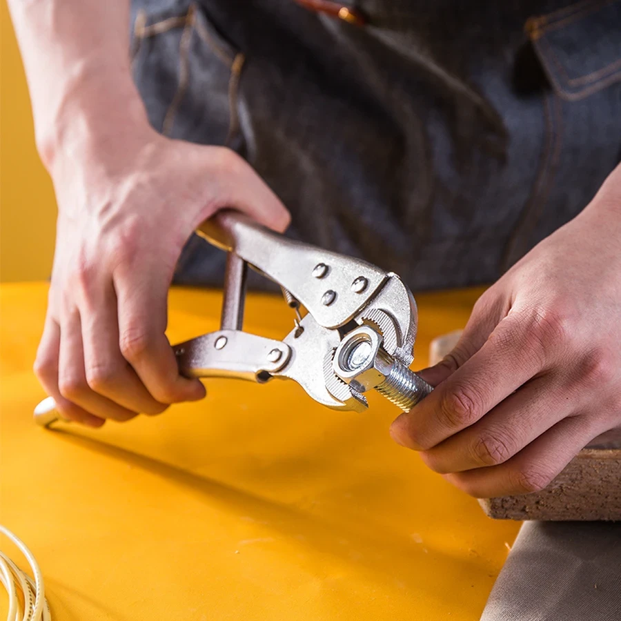 Deli 10" Professional Forged Carbon Steel Curved Jaw Locking Pliers | Heavy-Duty Mole Wrench with Fine Adjustment Screw & Wire Cutter | EDL2001 (Silver)