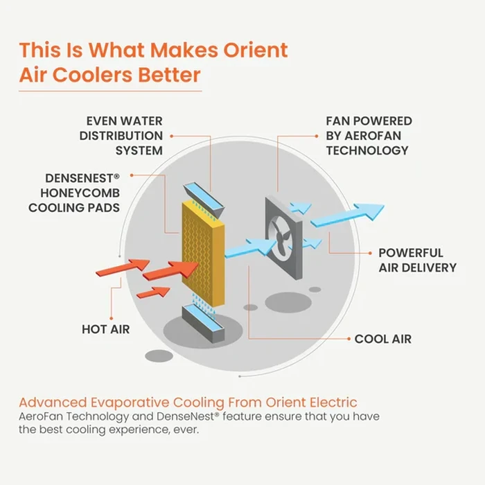 Orient Smartcool DX 24L Personal Air Cooler | 140W High-Performance DensiNest Honeycomb Evaporative Blower | 1300 Cu.m./hr Air Delivery 3-Speed Control | CP2302H