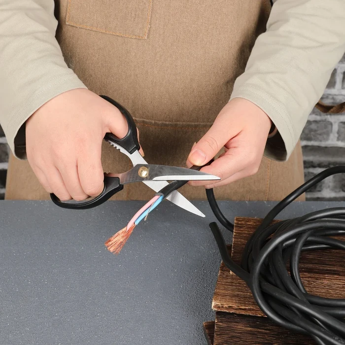 Deli 8 Inch / 195mm Professional Stainless Steel Scissors | High-Durability Rust-Proof Precise Utility Shears with Ergonomic Comfort Handle | EDL2613
