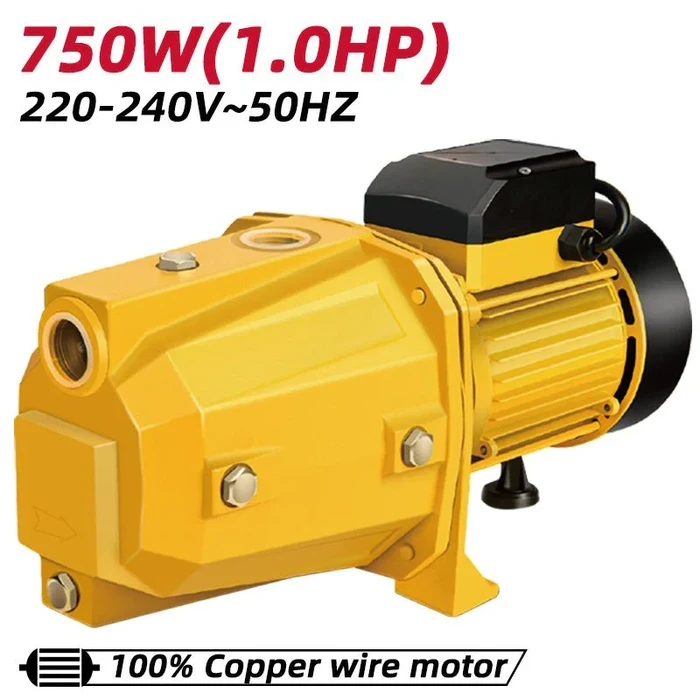 Deli Self-Priming Jet Pump 750W 1.0HP Heavy Duty Cast Iron Electric Water Transfer Pump with Brass Impeller & Thermal Overload Guard | EDL-JET750-E2